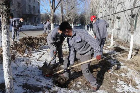 z6尊龙矿冶植树绿化现。ㄑ钤 摄）