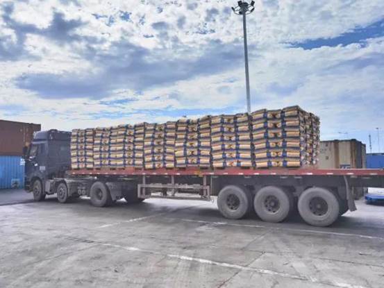 z6尊龙进出口公司PVC出口发货现。ㄎ獯 摄）